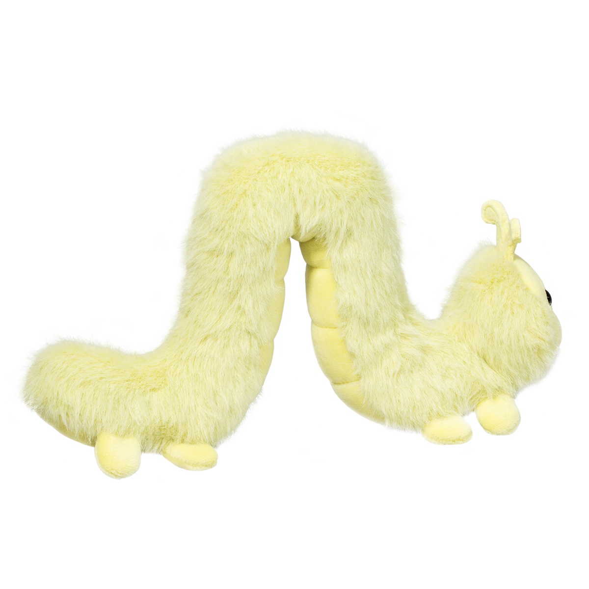 Inchy Inchworm