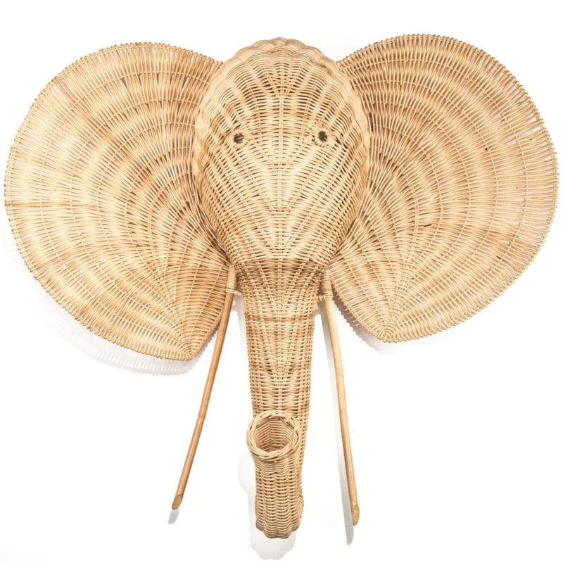 Rotan olifanten kop
