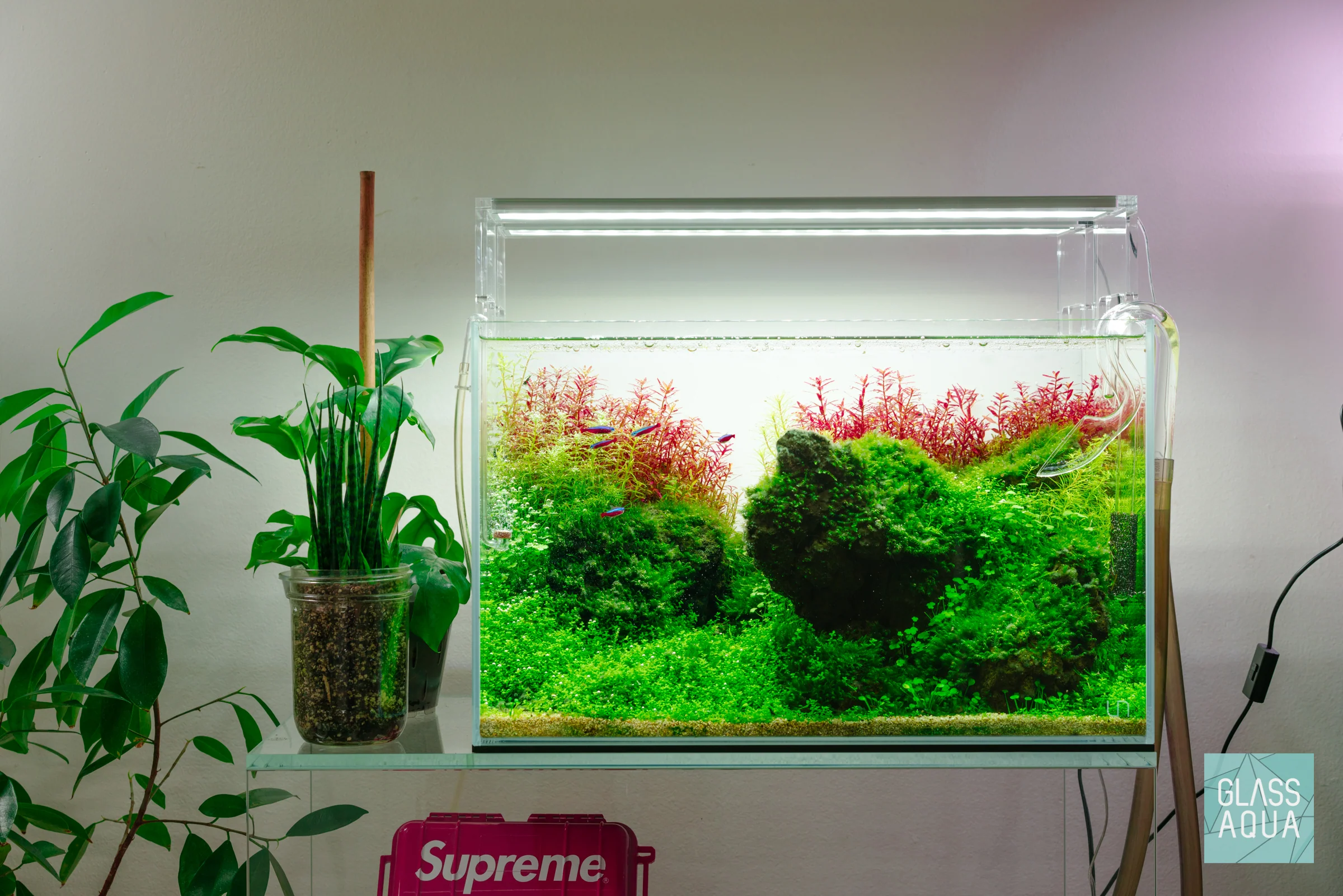 Build Your Own Aquarium Kit - Standard Tank