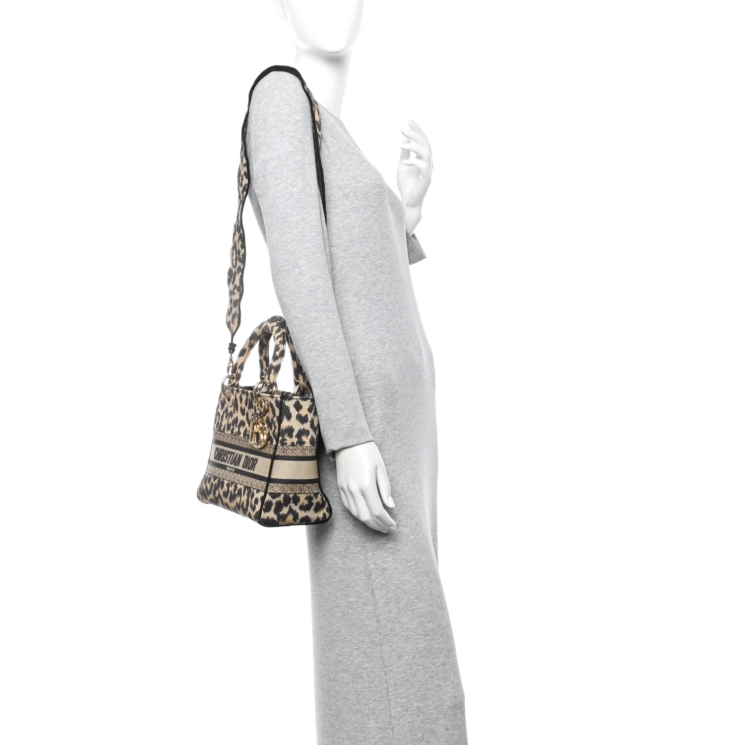 Canvas Medium Mizza Embroidered Lady D-Lite Beige Multicolor
