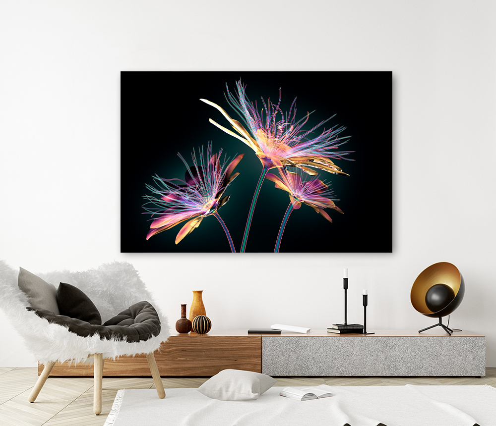 Paarse bloemen op zwart – Acrylglas 120 x 80 cm