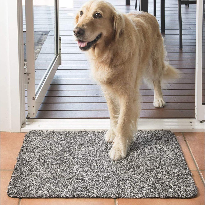 Non-slip Commercial Entrance Floor Mats Outdoor Rug Heavy Duty Pp for Business Adults Modern Solid 5mm Flooring Accessories