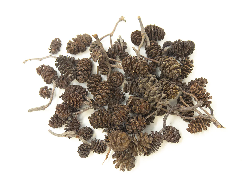 Botanical Breeder Combo Pack (Sulawesi Shrimp)