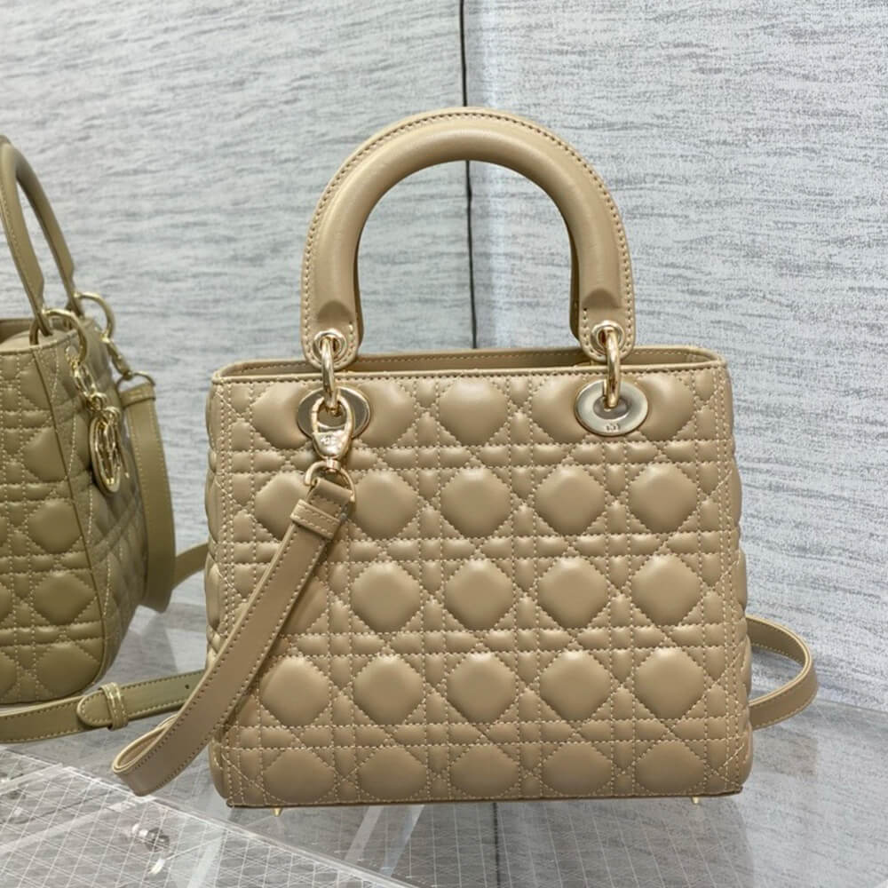 Medium Lady Dior Bag(HIGH-END GRADE) - Top Club