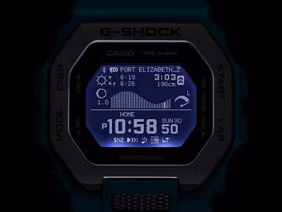 GBX100-2