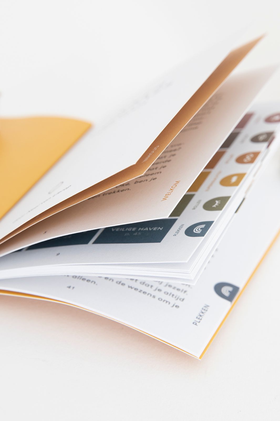 Inner compass cards kids NL