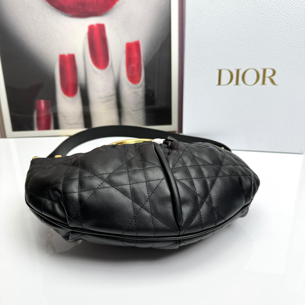 Dior Walk in Dior Purse - Top Club