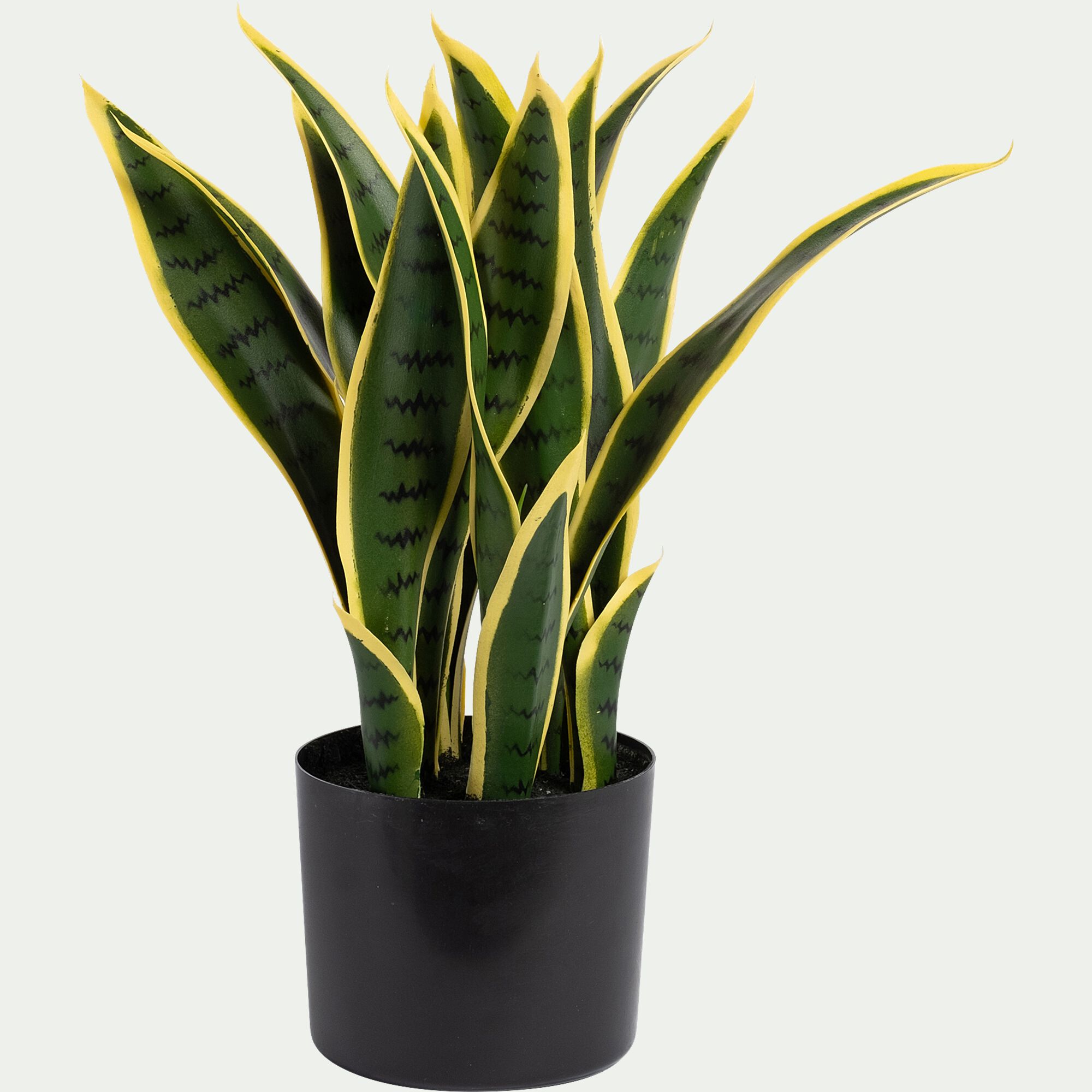 AIGO - Plante artificielle sansevieria H46cm