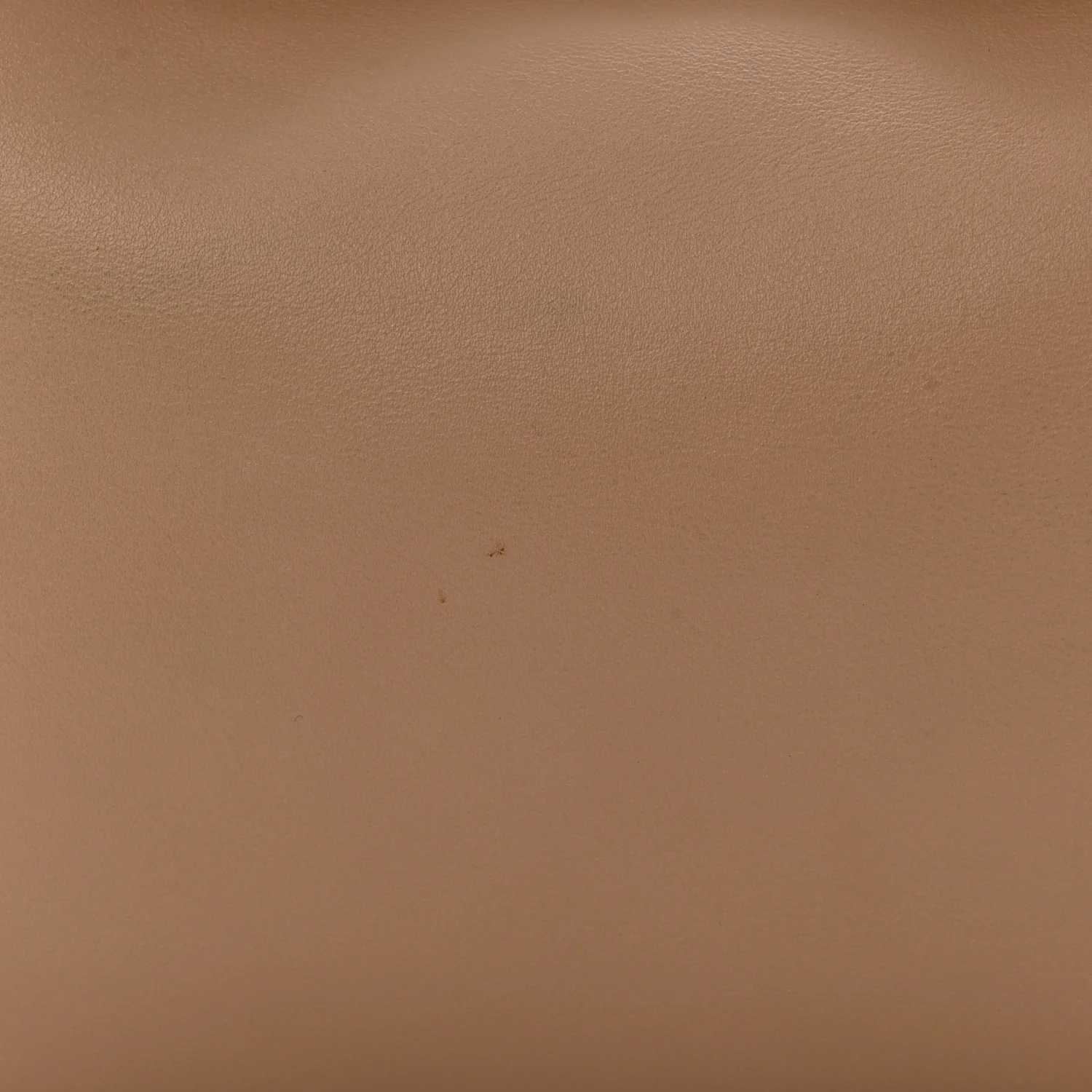 Natural Smooth Calfskin Mini Rodeo Top Handle Handbag Latte - Top Club