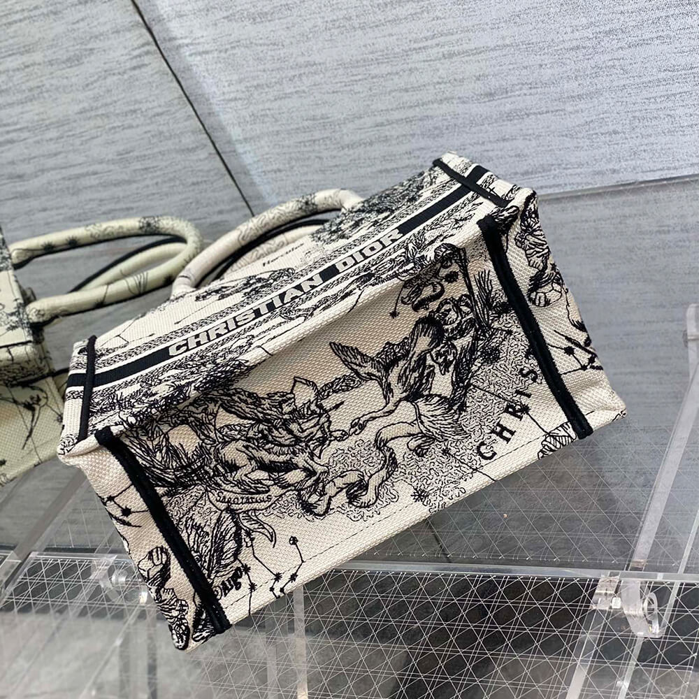 Small Dior Book Tote - Top Club