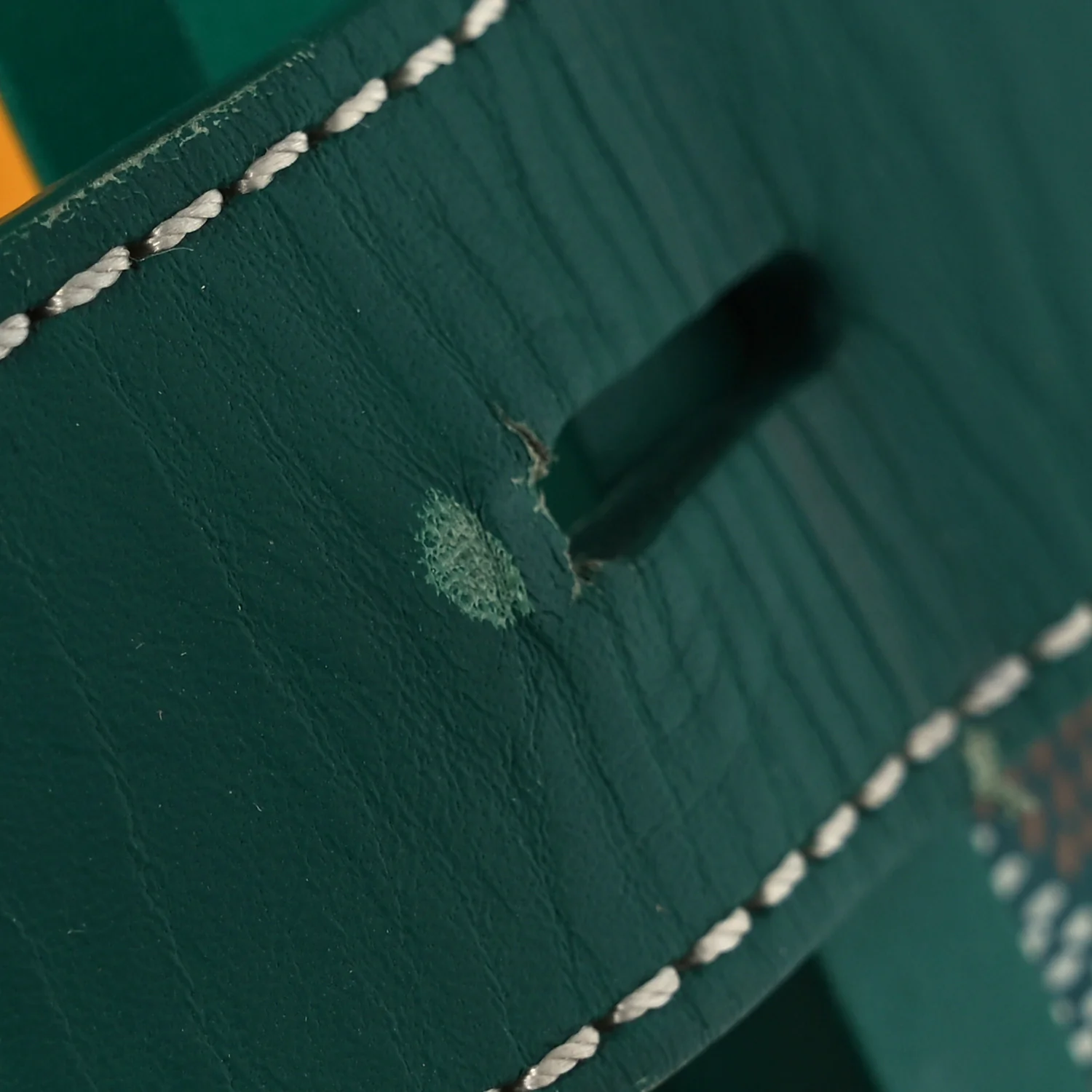 Goyardine Bourget PM Green - Top Club