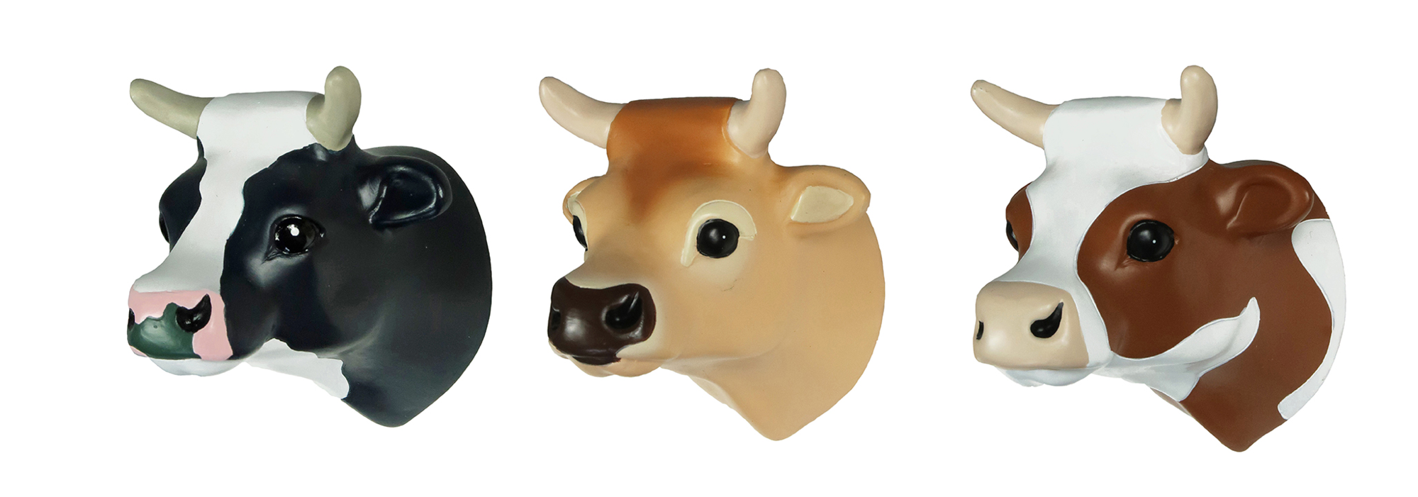 S/3 WANDHAAK COWS