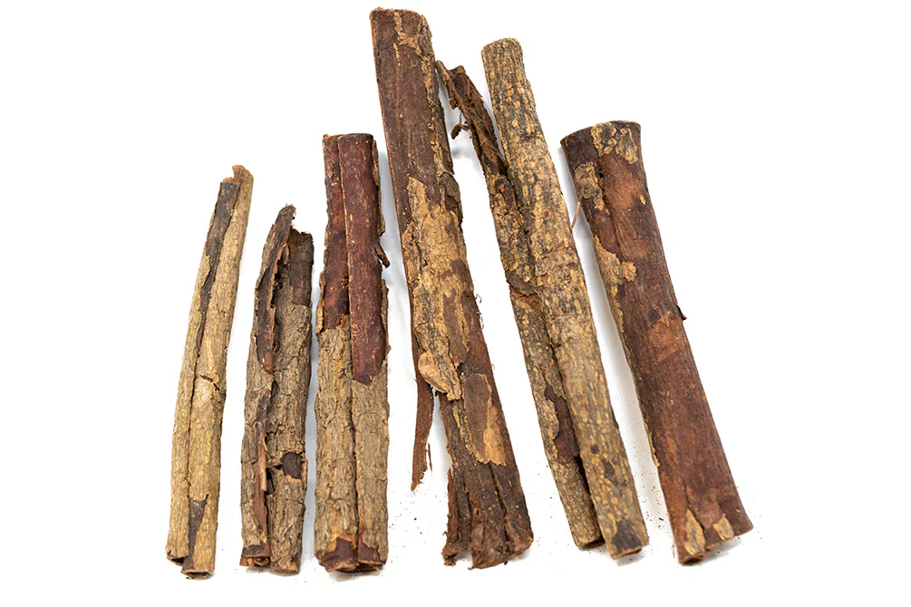 Catappa Bark