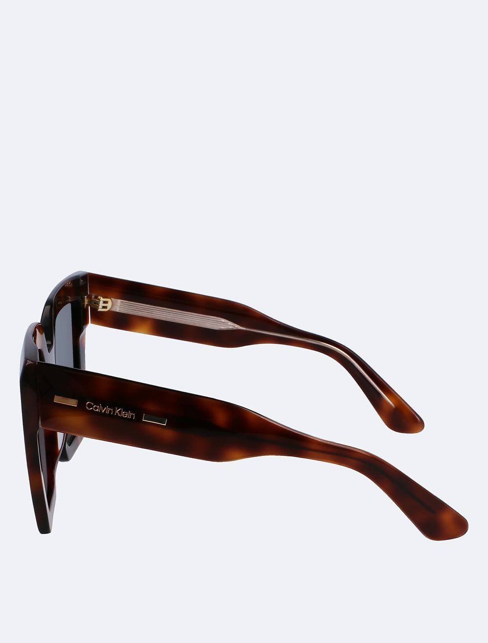 COACH Acetate Modified Square Sunglasses