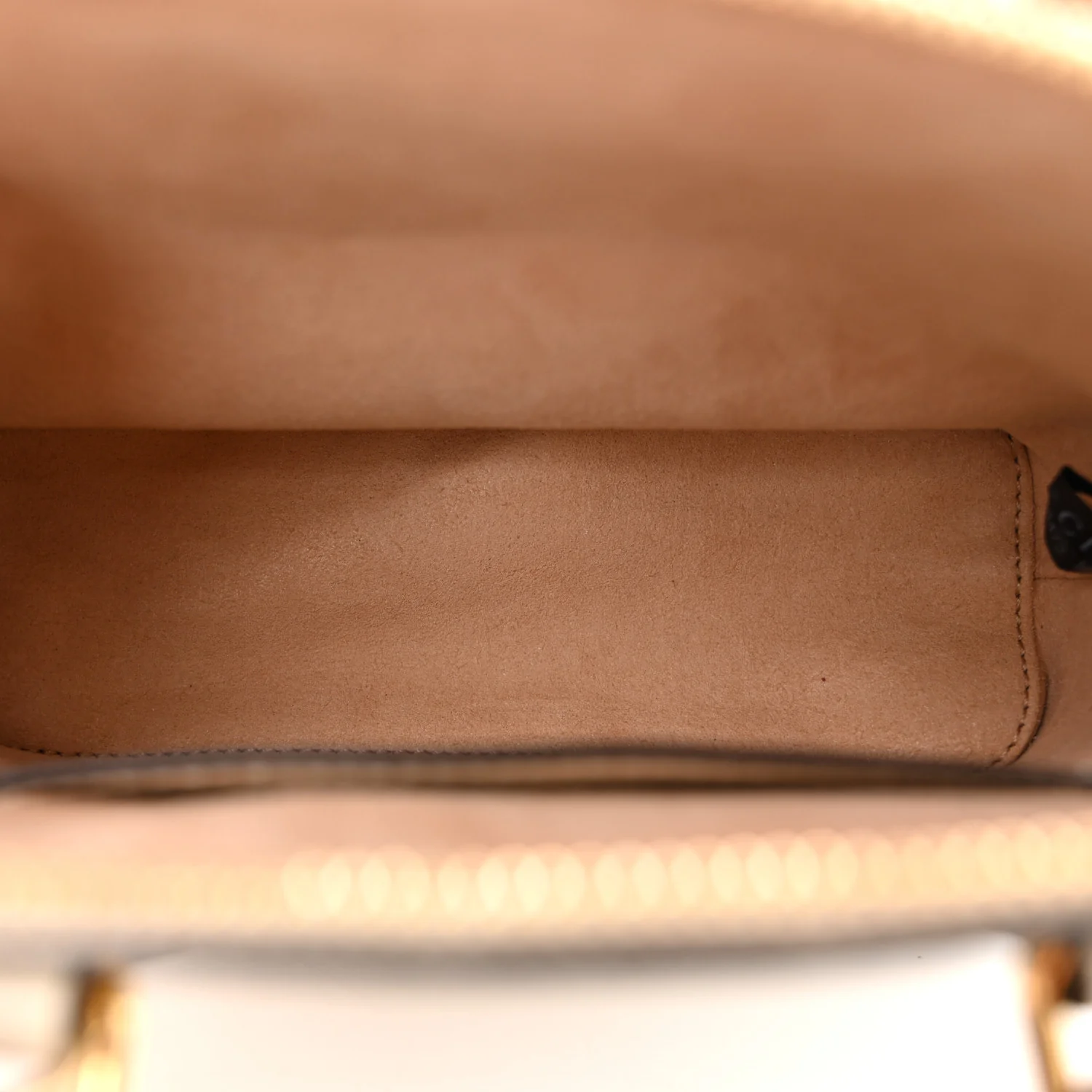 Textured Dollar Calfskin Mini Diana Dome Tote Bag White - Top Club