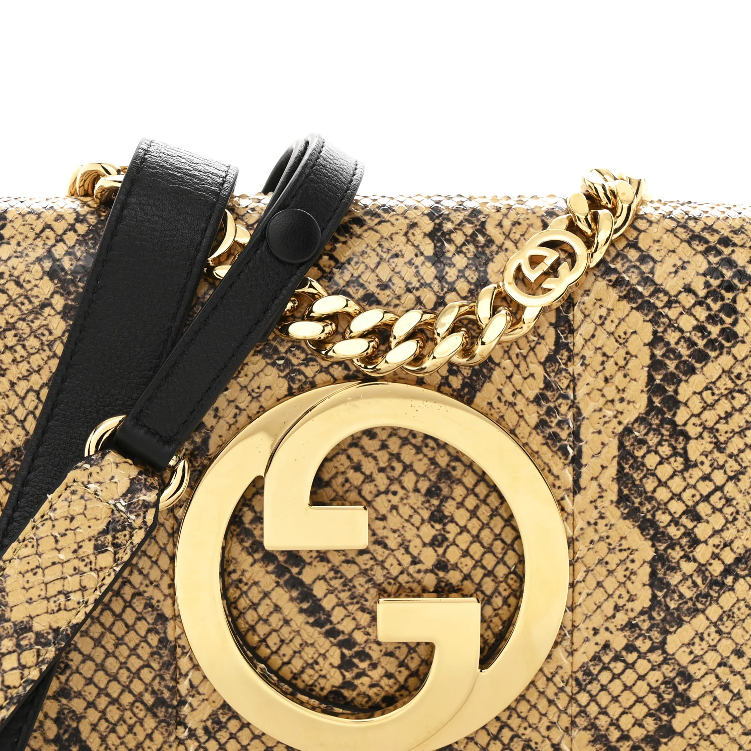 Roxy Snakeskin Blondie Chain Shoulder Flap Bag Roccia - Top Club