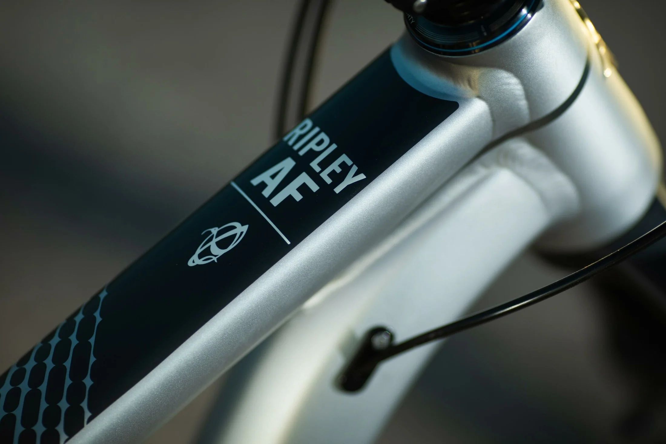 Ibis Ripley AF - billsbikeshop