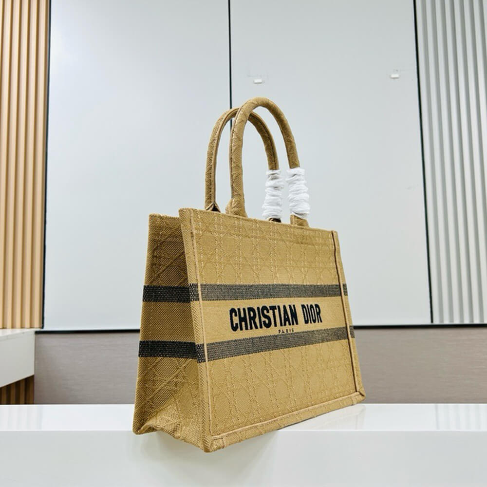 Medium Dior Book Tote - Top Club