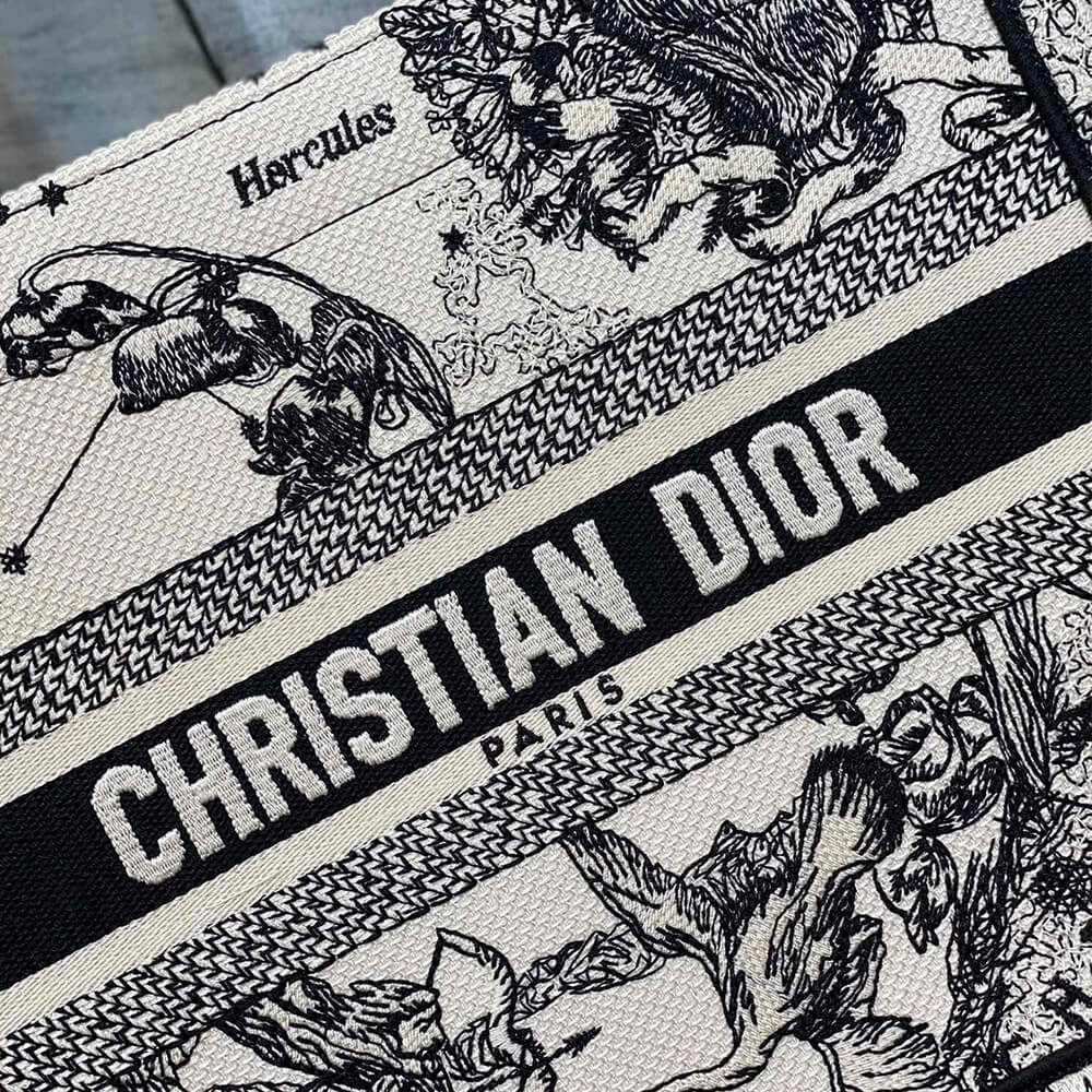 Small Dior Book Tote - Top Club