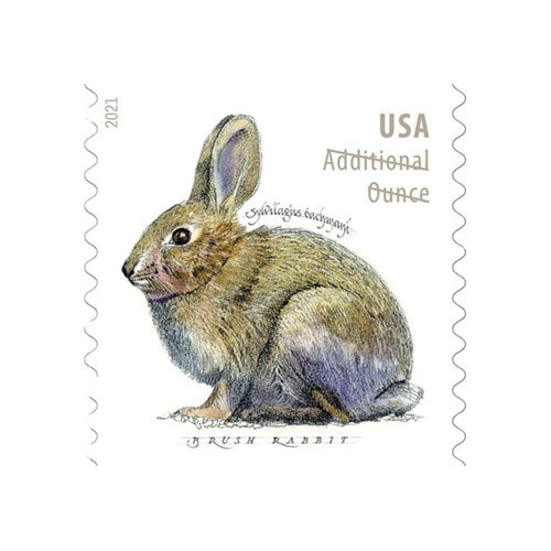 2021 Brush Rabbit Additional Ounce Forever Postage Stamps