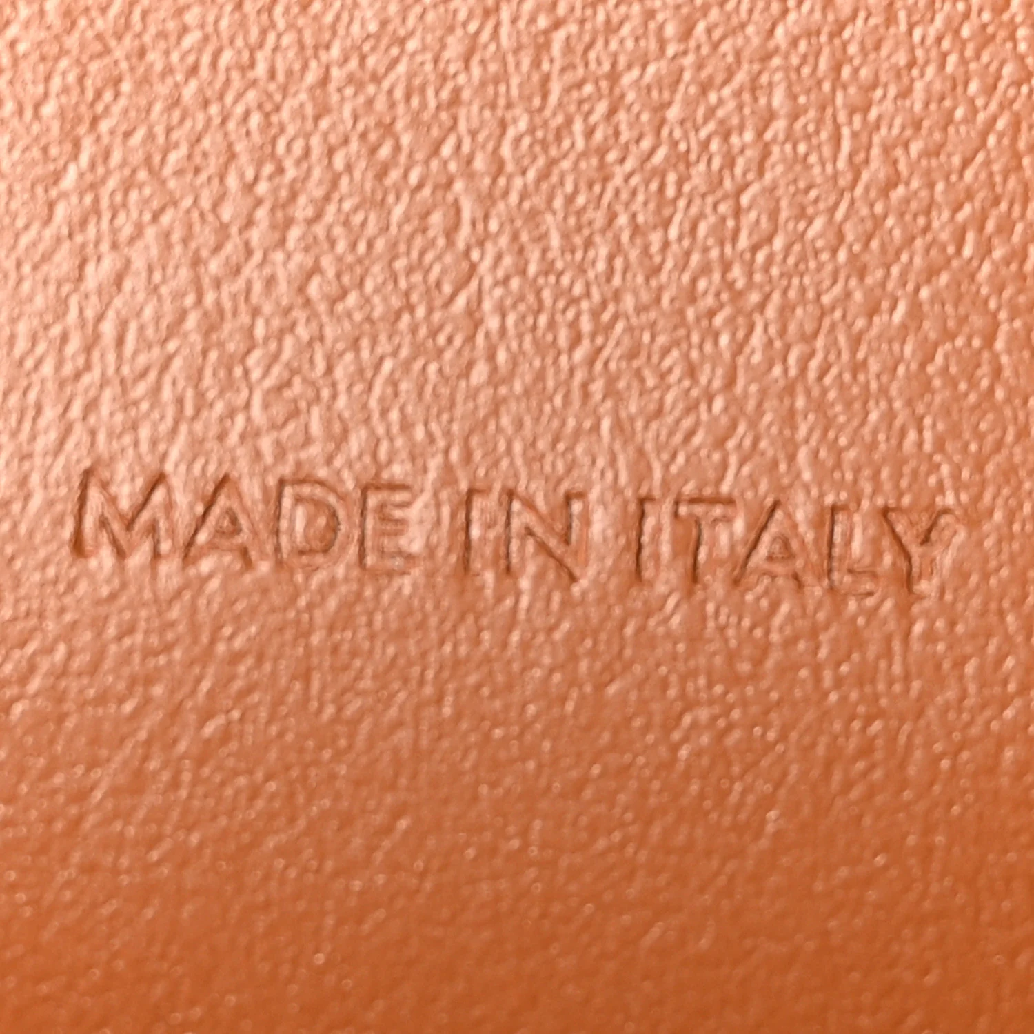 Triomphe Canvas Lambskin Wallet On Strap Tan - Top Club