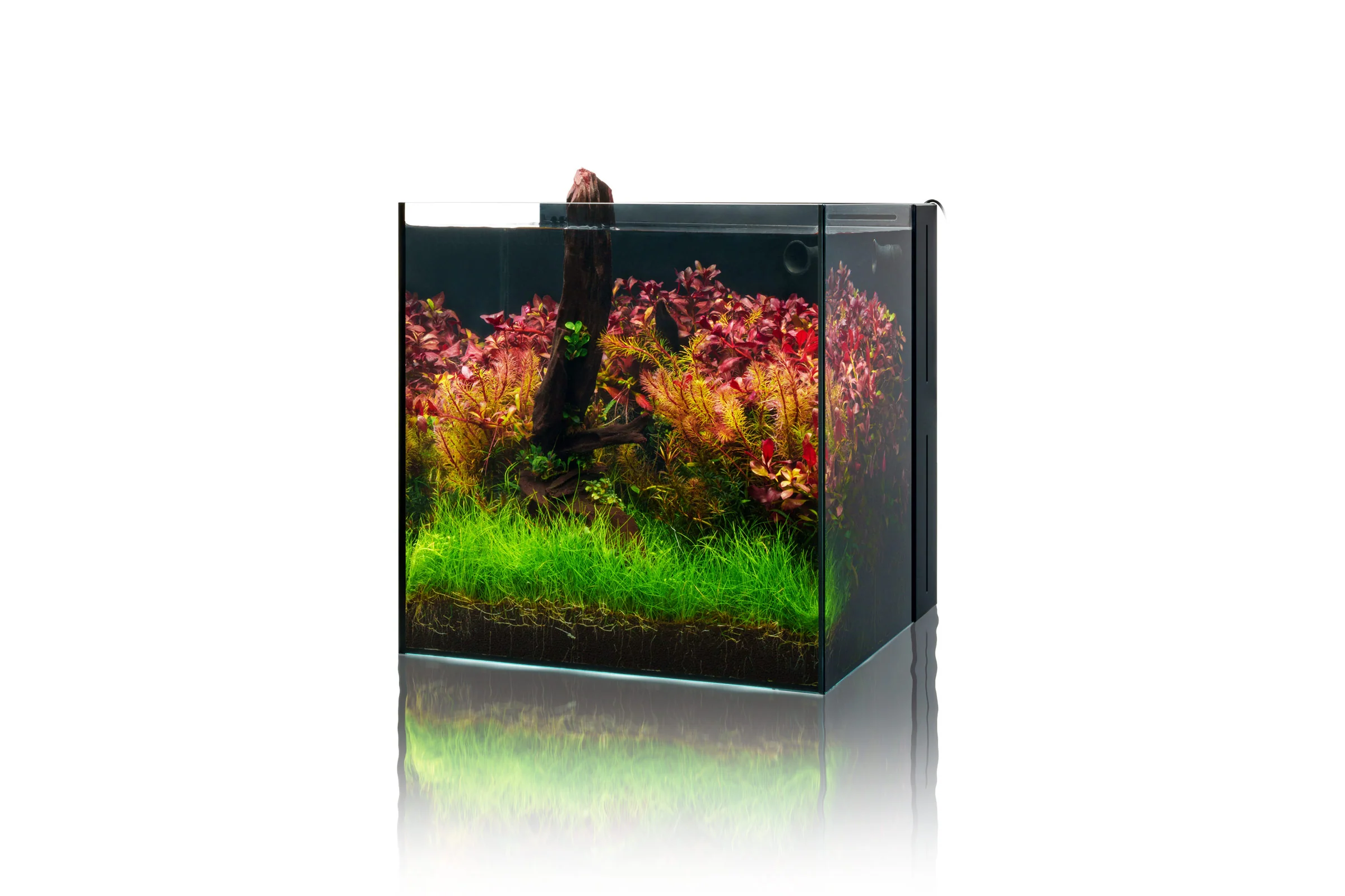 UNS Dual All-In-One Glass Aquarium Tank
