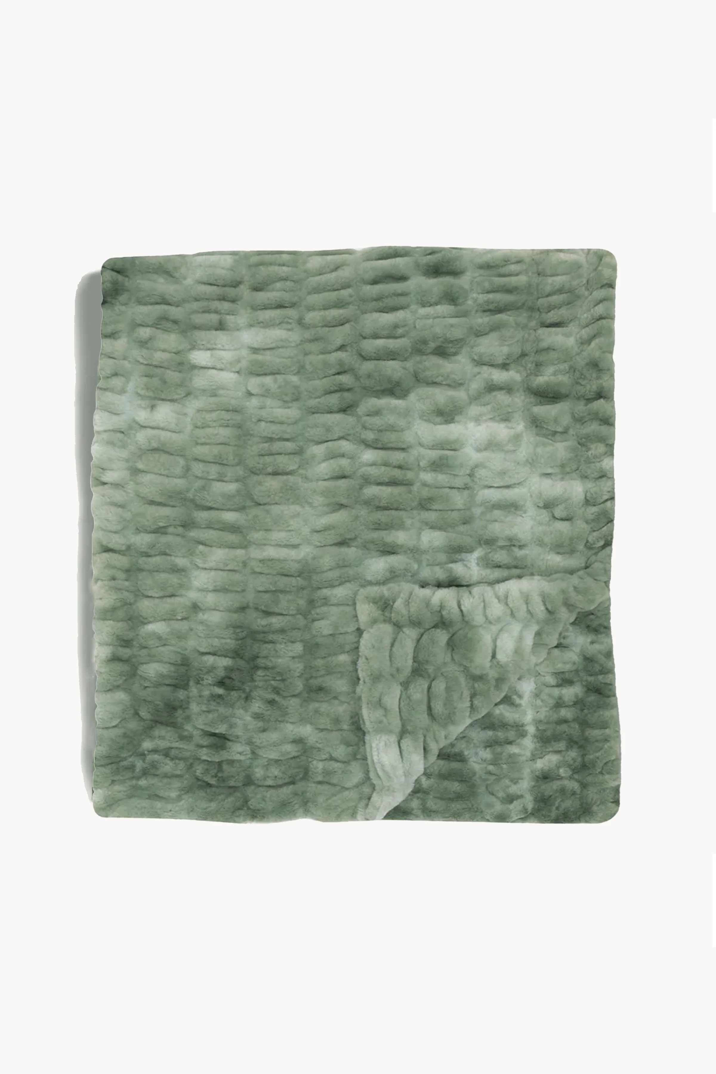 Lily Pad