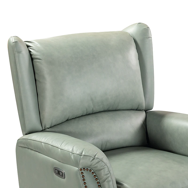 Flora Genuine Leather Power Recliner