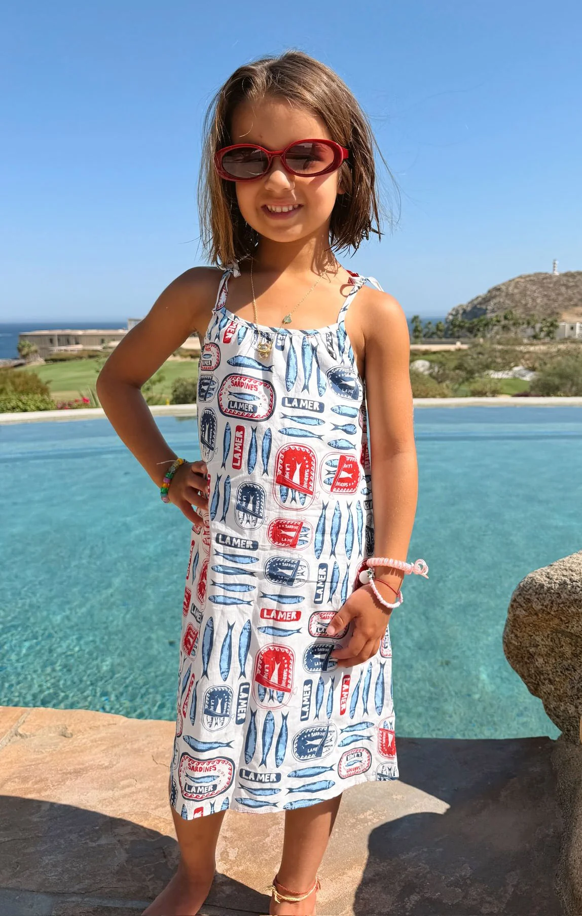 Sidekick Dress ~ Sardine Border