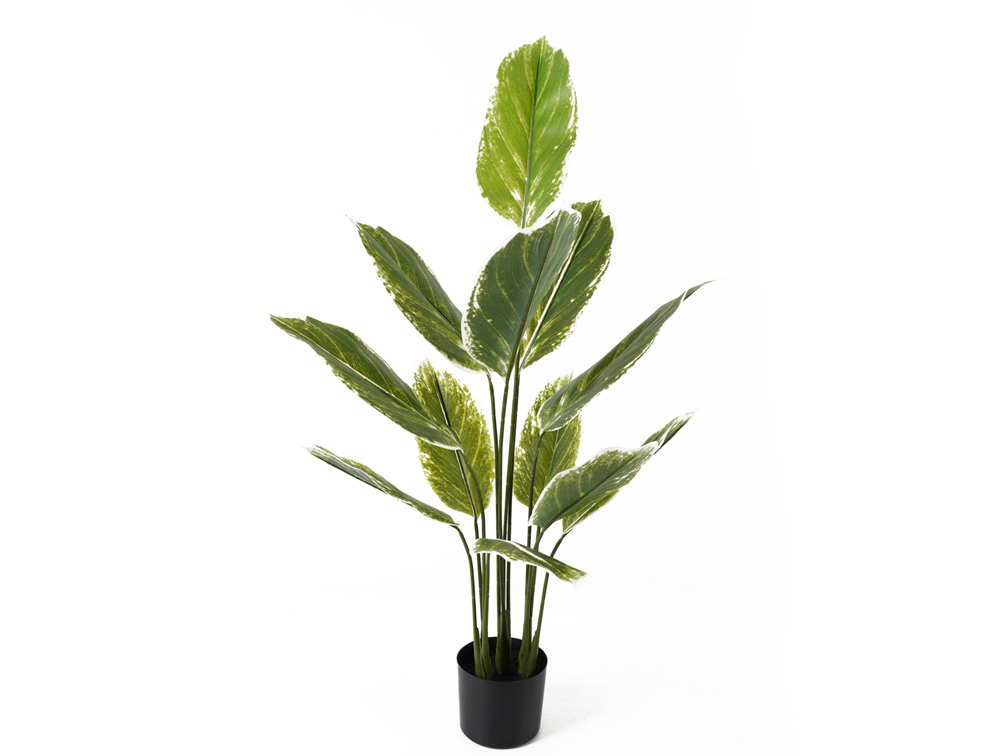 Artificial plant Calathea large