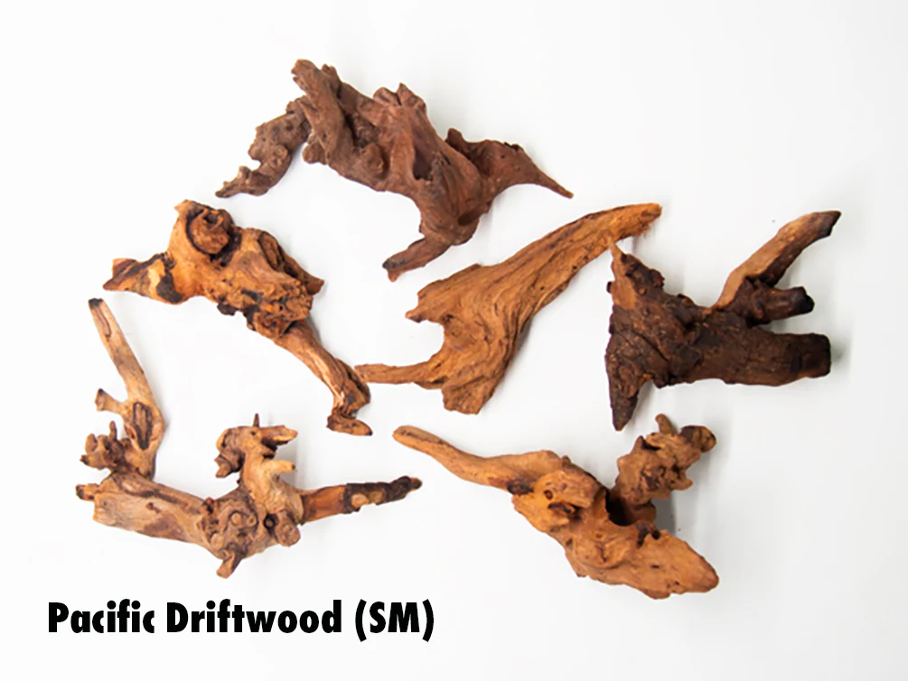 Pacific Driftwood (Dry)