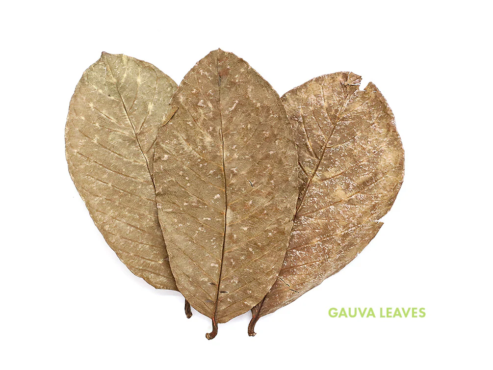 Aquatic Arts Mixed Fruit Leaf Botanical Pack (Mango, Guava, Banana & Jackfruit) - Dried Botanicals