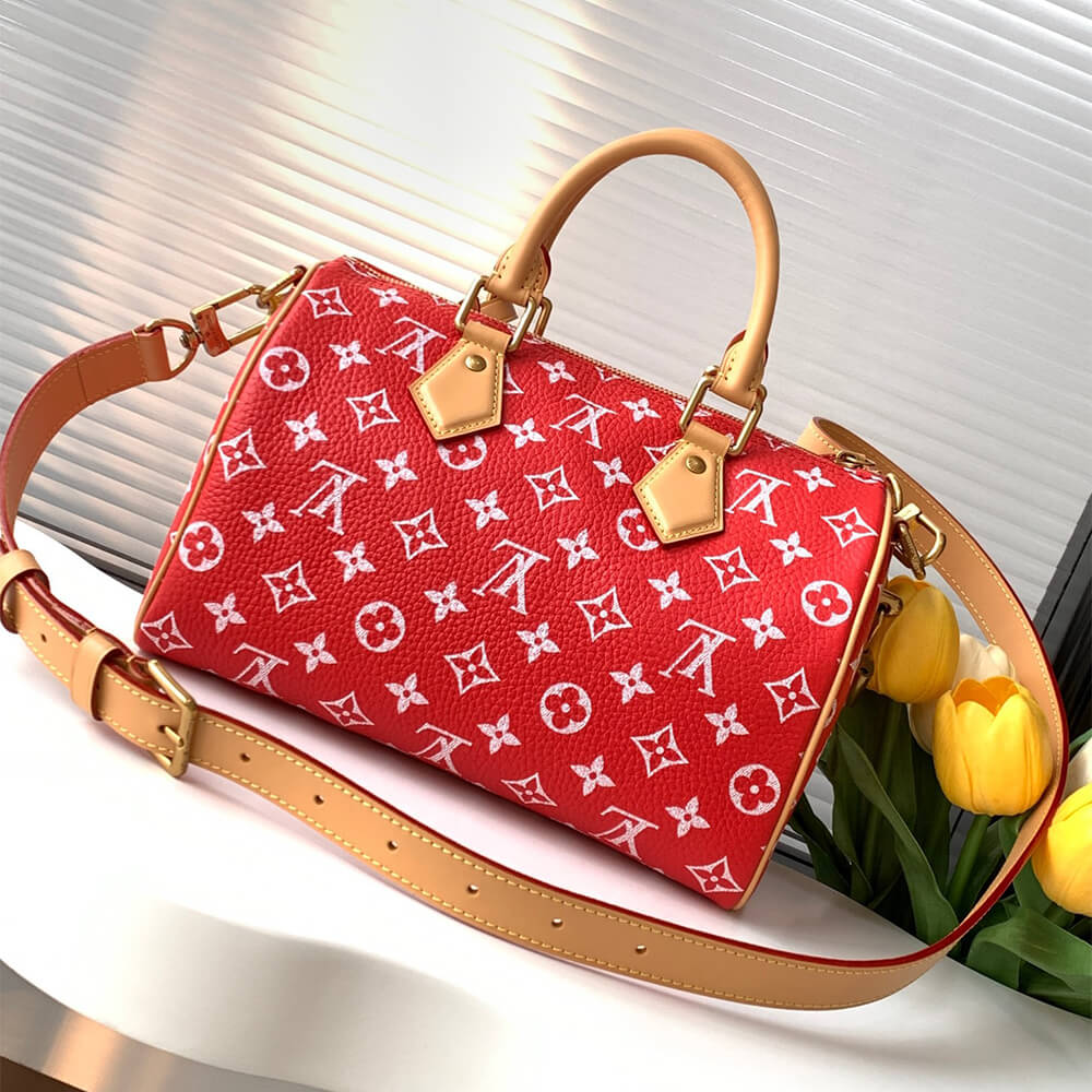 LV Speedy P9 Bandouliere 25 - Top Club