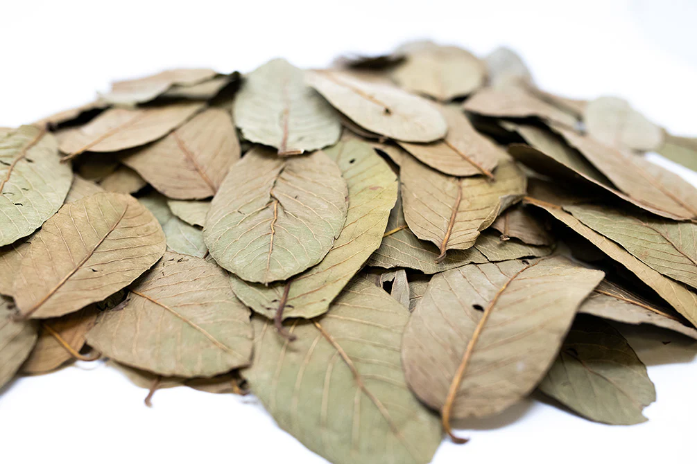 Aquatic Arts Guava Leaves