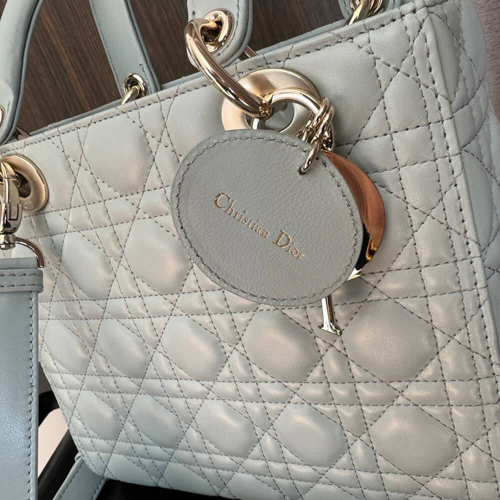 Medium Lady Dior Bag(HIGH-END GRADE) - Top Club