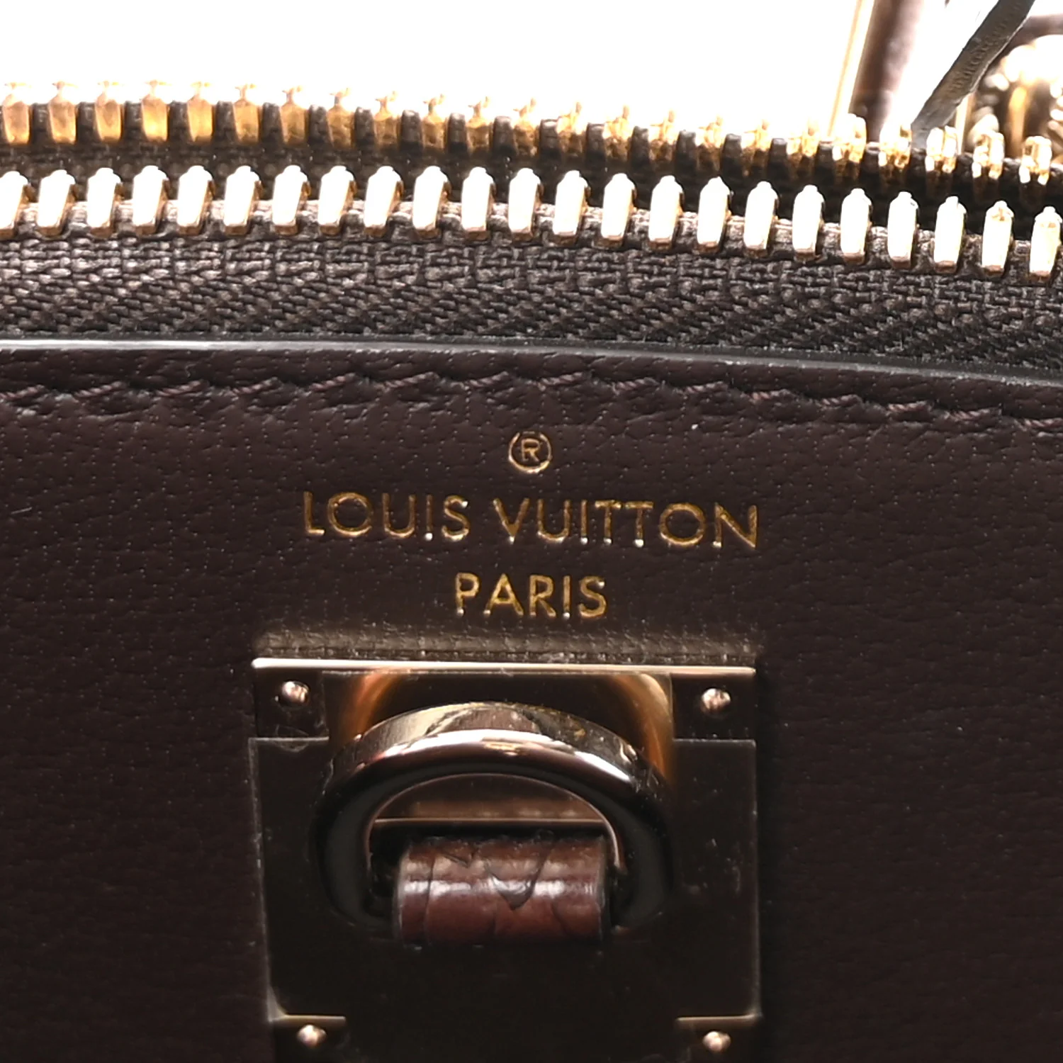Snakeskin Monogram City Steamer Mini Brown - Top Club