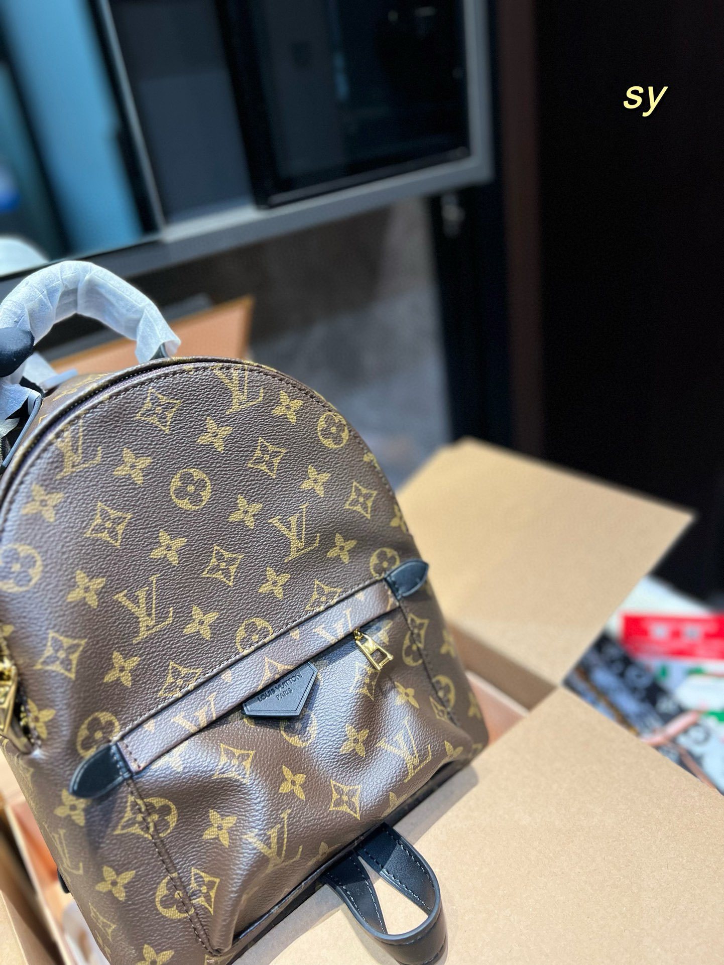 Louis new arrival palm springs mini backpack size: 23*27cm - Top Club