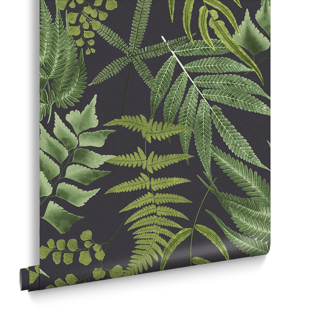 Graham & Brown  vliesbehang  Midsummer Fern Black Graham & Brown  vliesbehang  Midsummer Fern Black