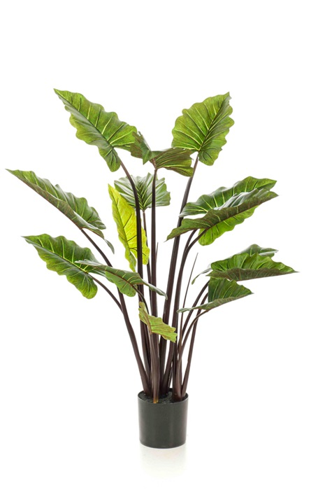 Kunstplant Colocasia