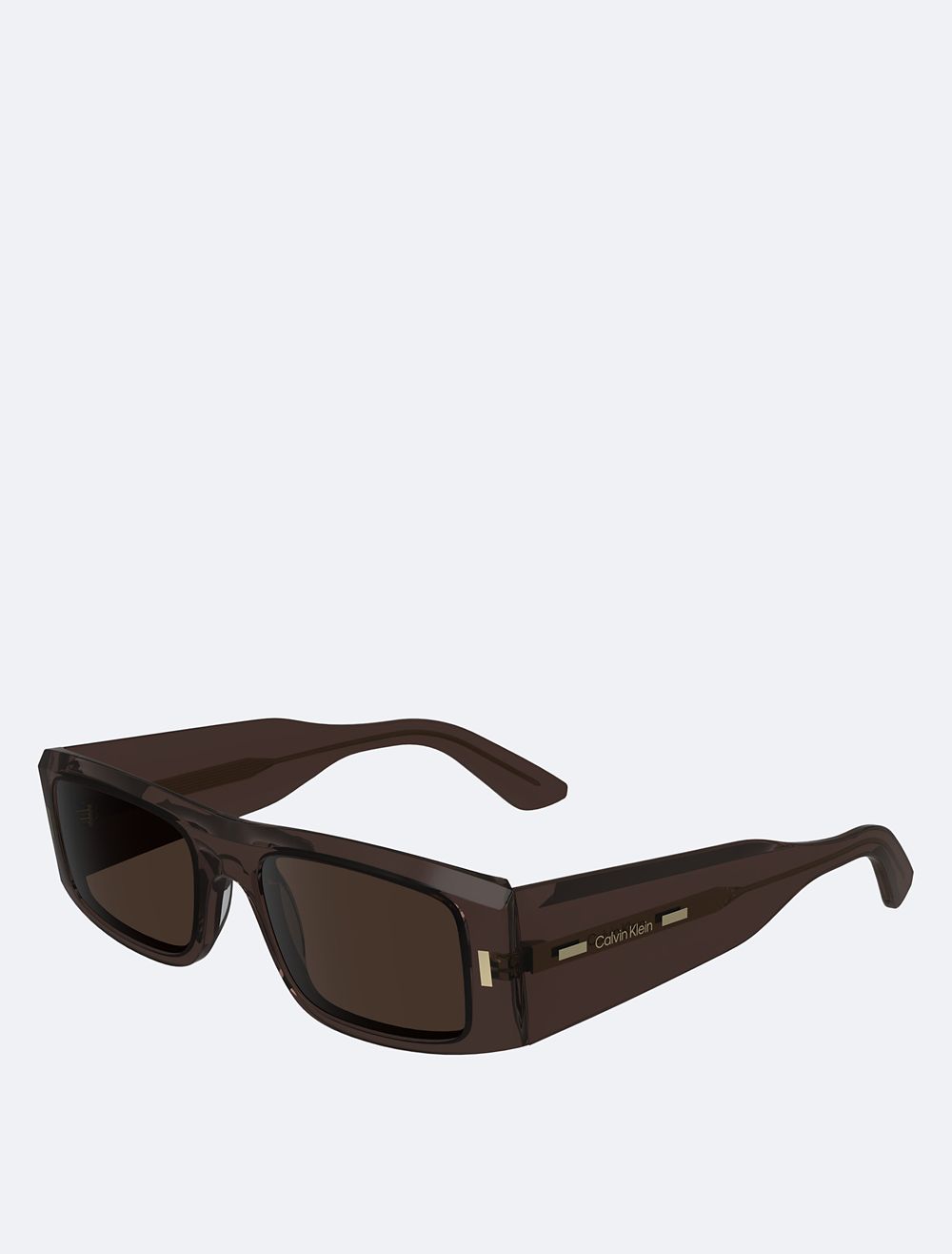 COACH Acetate Avant Garde Rectangle Sunglasses