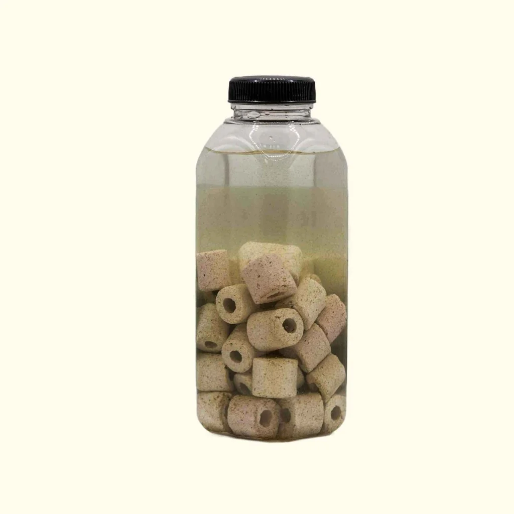 Live Aquarium Bacteria Starter Culture