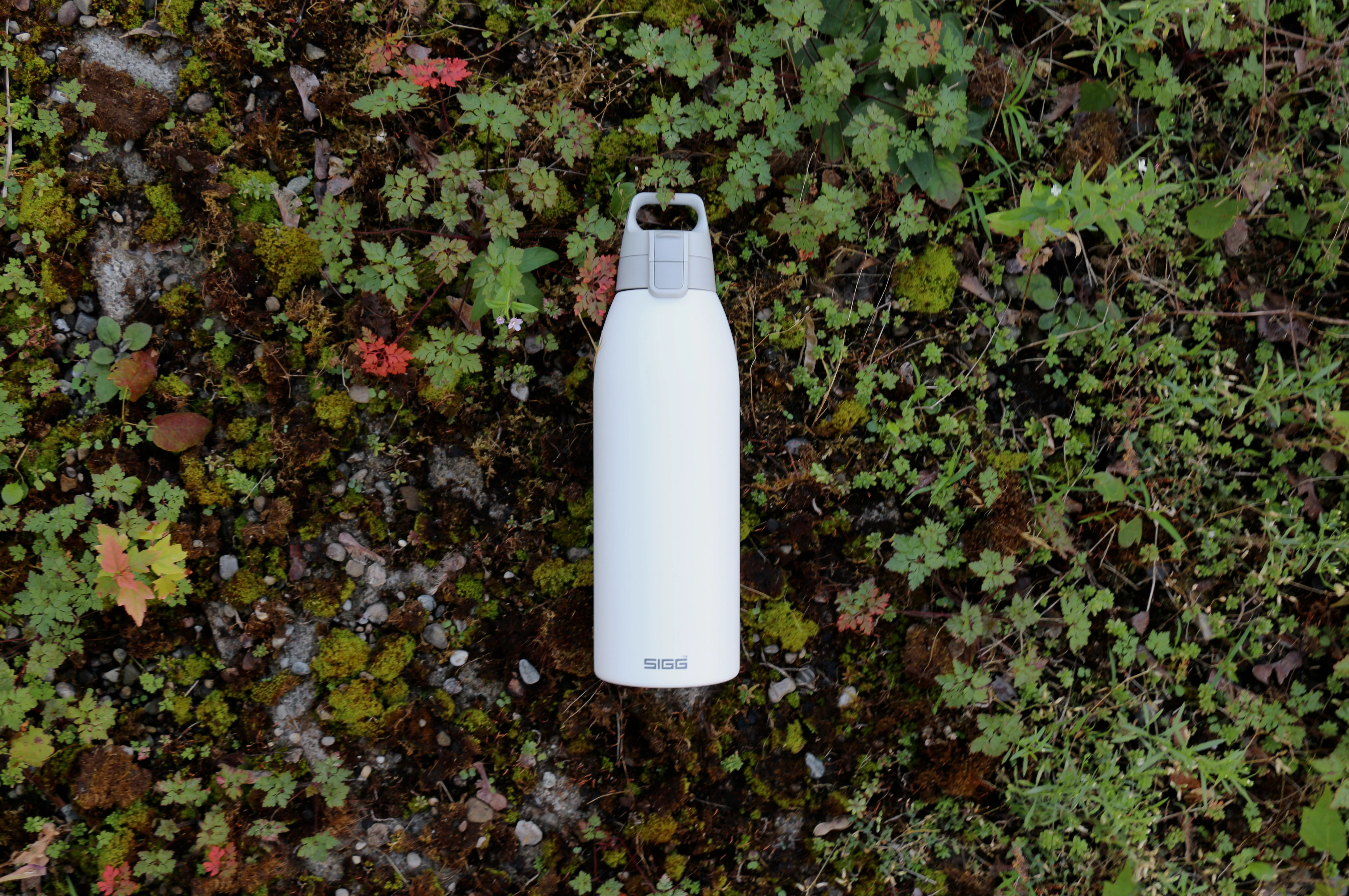 Shield Therm ONE