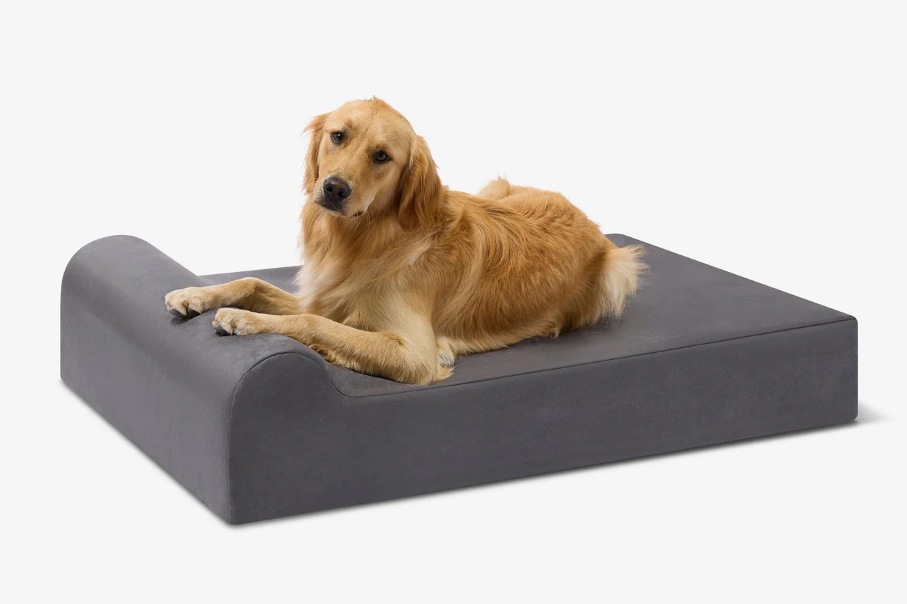 Original Orthopedic Dog Bed - Charcoal Gray