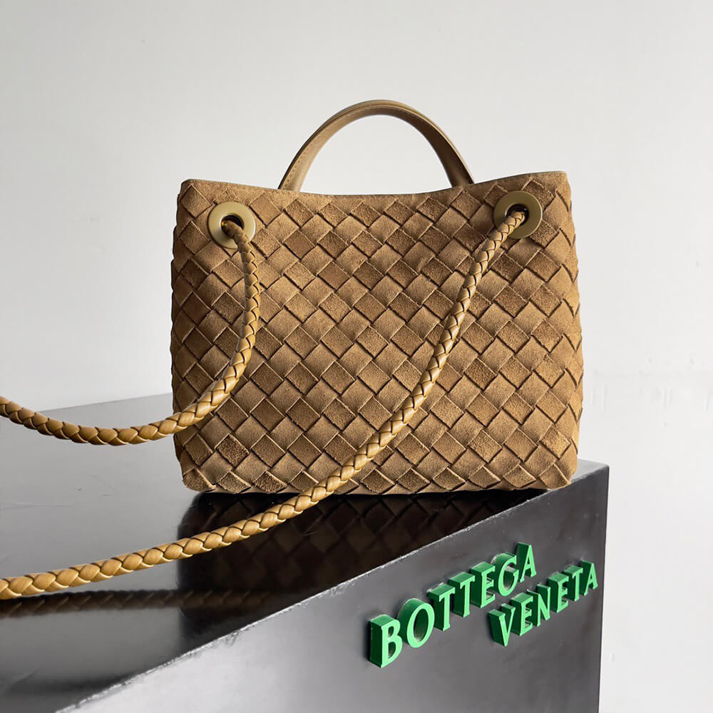 Bottega Veneta Small Andiamo - Top Club