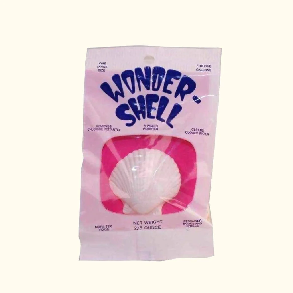 Wonder Shell