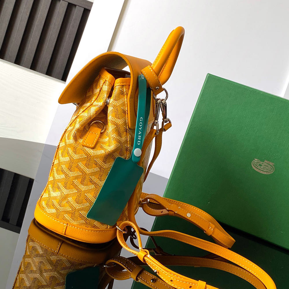 Goyard Alpin Mini Backpack - Top Club