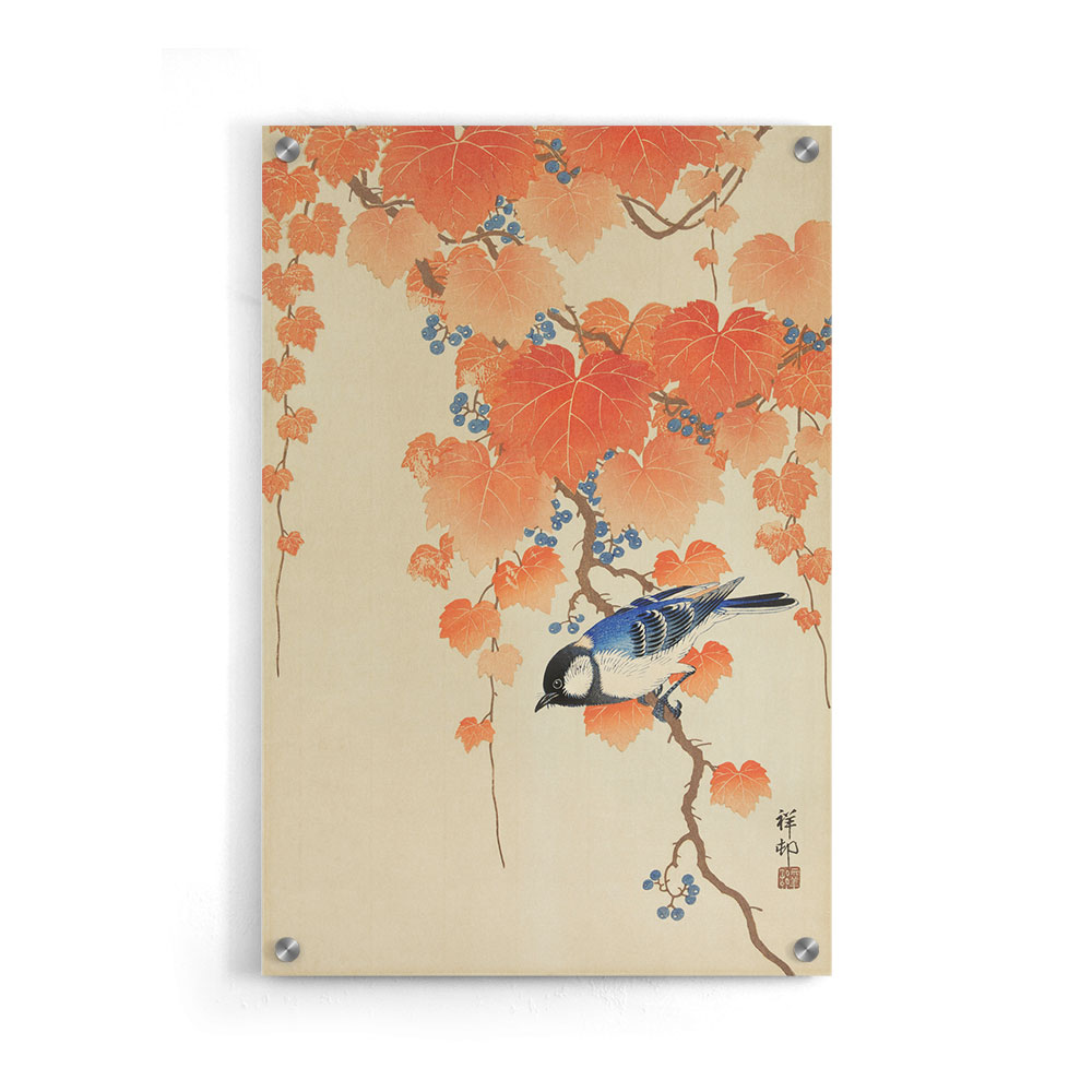 Walljar plexiglas schilderij - Ohara Koson - Great Tit On Paulownia Branch Plexiglas schilderij - 150 x 225 cm