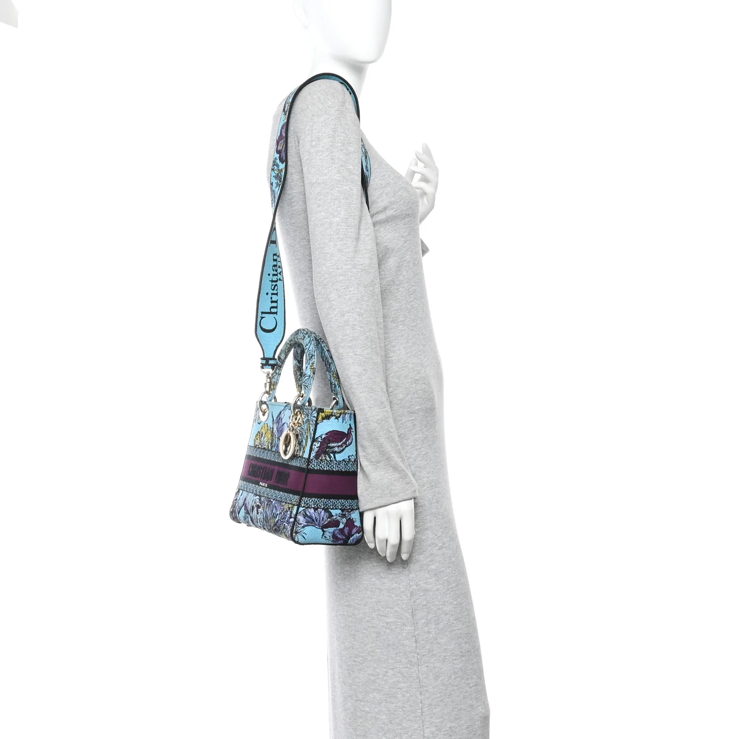 Canvas Toile de Jouy Voyage Embroidered Medium Lady D-Lite Celestial Blue