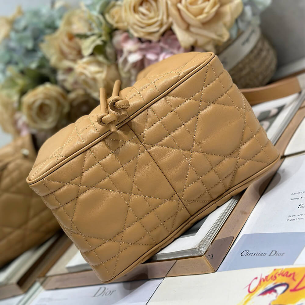 Dior Medium D-Motion Bag(HIGH-END GRADE) - Top Club