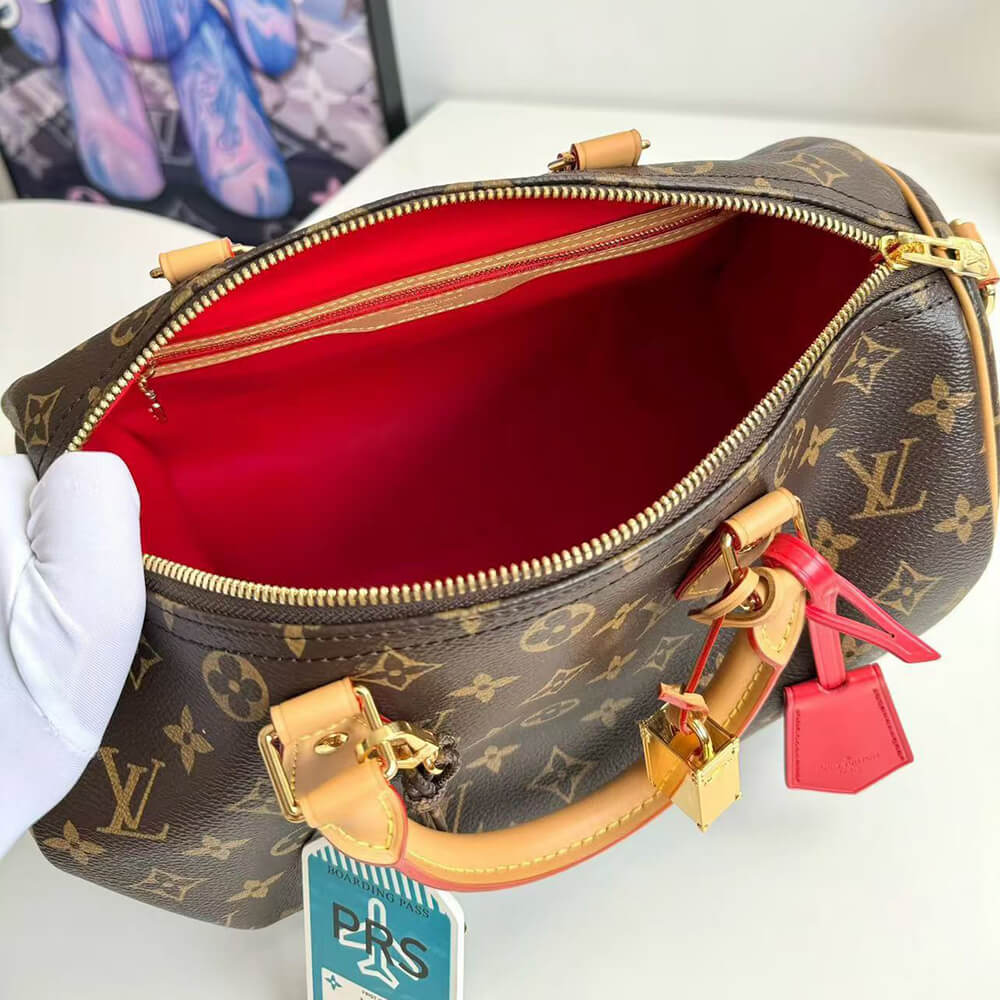 LV Speedy Soft 30 Crafty - Top Club